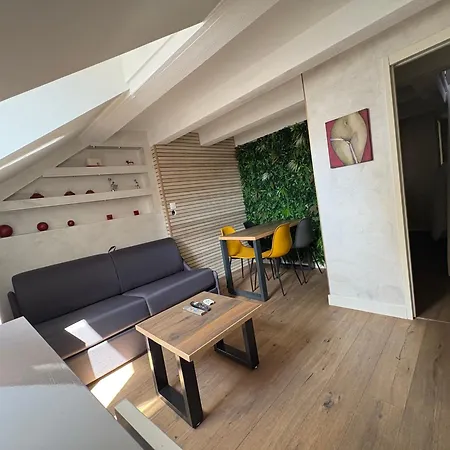 Le Cocon De Notre Dame Apartment Annecy Exterior photo